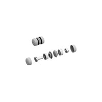 Striebel & John TZ608 Pic_1