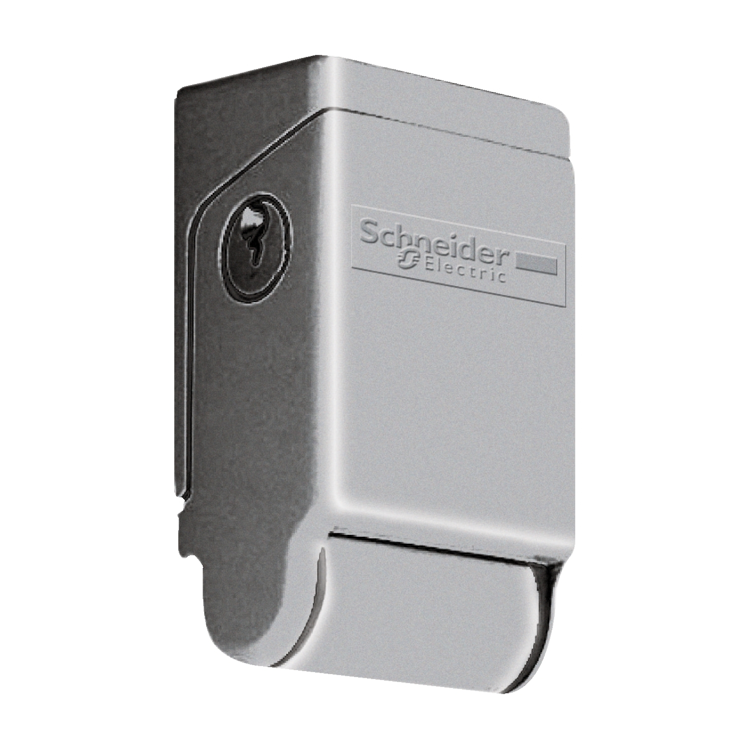 Schneider Electric NSYAEDLDINS3D Pic_1
