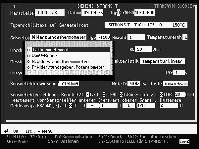 Siemens 7NG3080-8CA Pic_2
