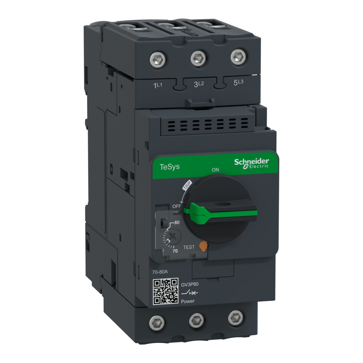 Schneider Electric GV3P80 Pic_1
