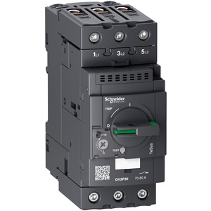 Schneider Electric GV3P80 Pic_2