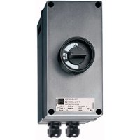 Stahl R. 8527/21-07-0001 Leistungs- Pic_1