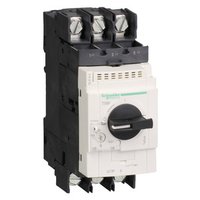 Schneider Electric GV3P656 Pic_1