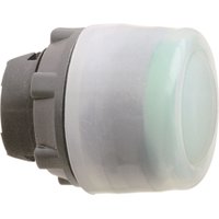 Schneider Electric ZB5AP38 Pic_1