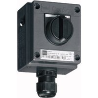 Stahl R. 8040/1180.726+2r-060 Pic_1