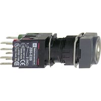 Schneider Electric XB6CGH5B Pic_1