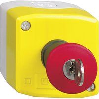 Schneider Electric XALK188E Pic_1