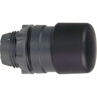 Schneider Electric ZB5AC24 Pic_1