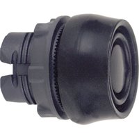 Schneider Electric ZB5AP2S Pic_1