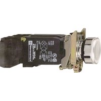 Schneider Electric XB4BW3345 Pic_1