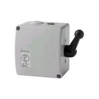 Elektra Tailfingen TPIG16 Pic_2