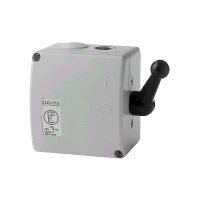 Elektra Tailfingen TPIG 32 Pic_1