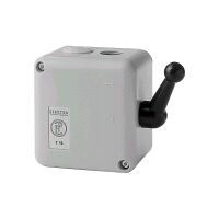 Elektra Tailfingen TUT 16 Pic_1