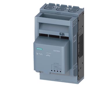 Siemens 3NP1133-1CA14 Pic_1