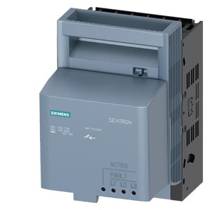 Siemens 3NP1123-1CA24 Pic_1