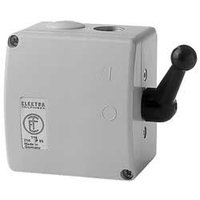 Elektra Tailfingen TUG 32 Pic_2