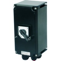 Ceag/cooper GHG 262 1301 R0001 Pic_2