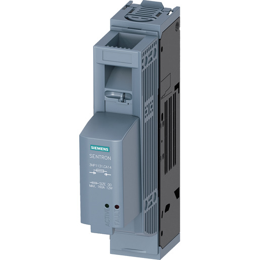 Siemens 3NP1131-1CA14 Pic_1