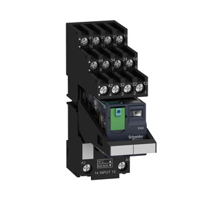 Schneider Electric RXM4AB2BDPVS Pic_1