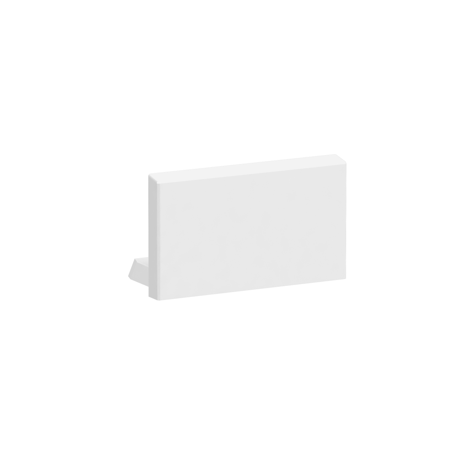 Schneider Electric RSZL300 Pic_1