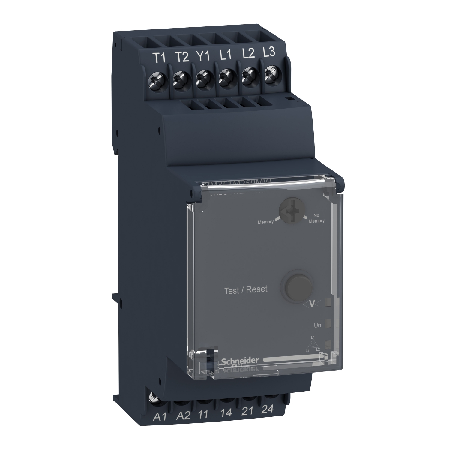Schneider Electric RM35TM250MW Pic_1