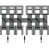Striebel & John ZH312 Pic_2