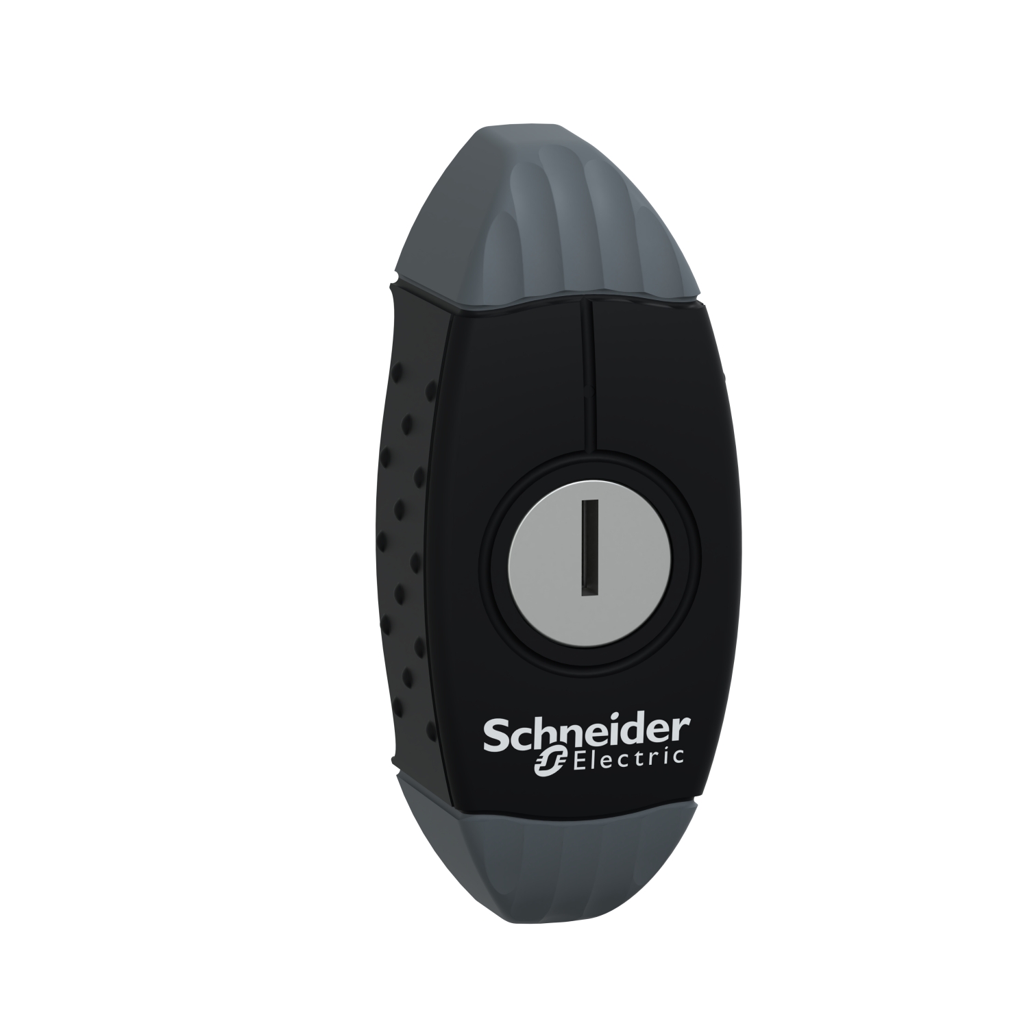 Schneider Electric NSYAEDL2133S3D Pic_1