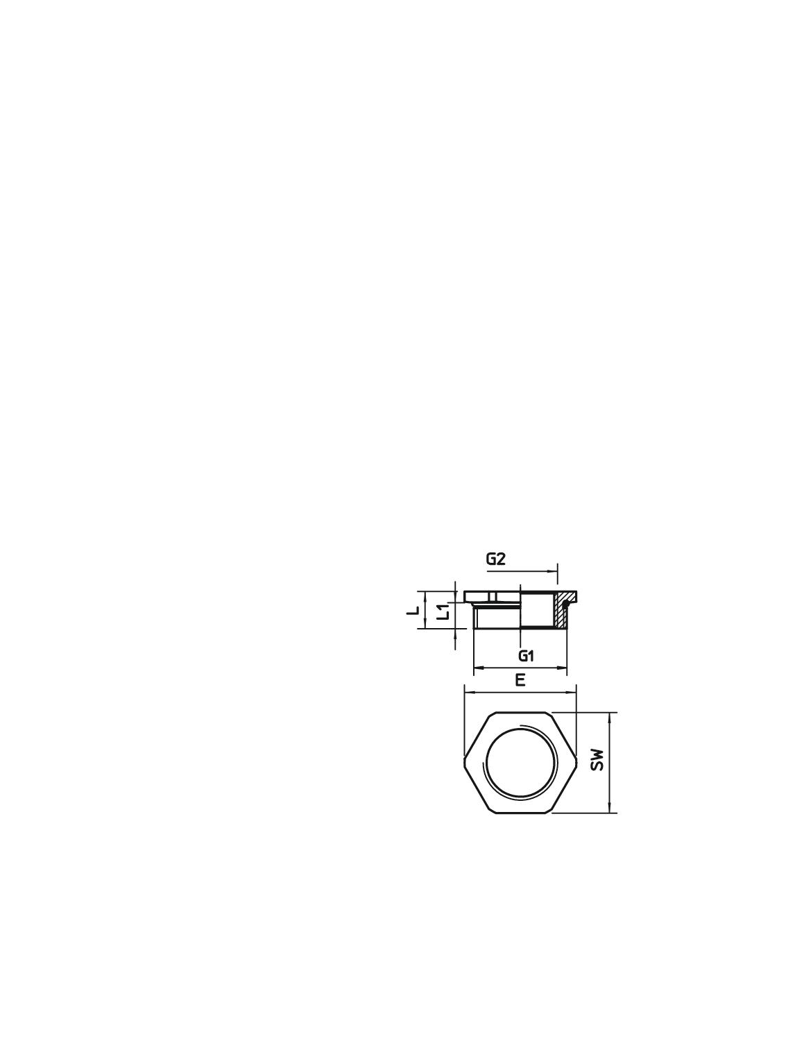 OBO Bettermann 165 ADA M40-PG21 Pic_1