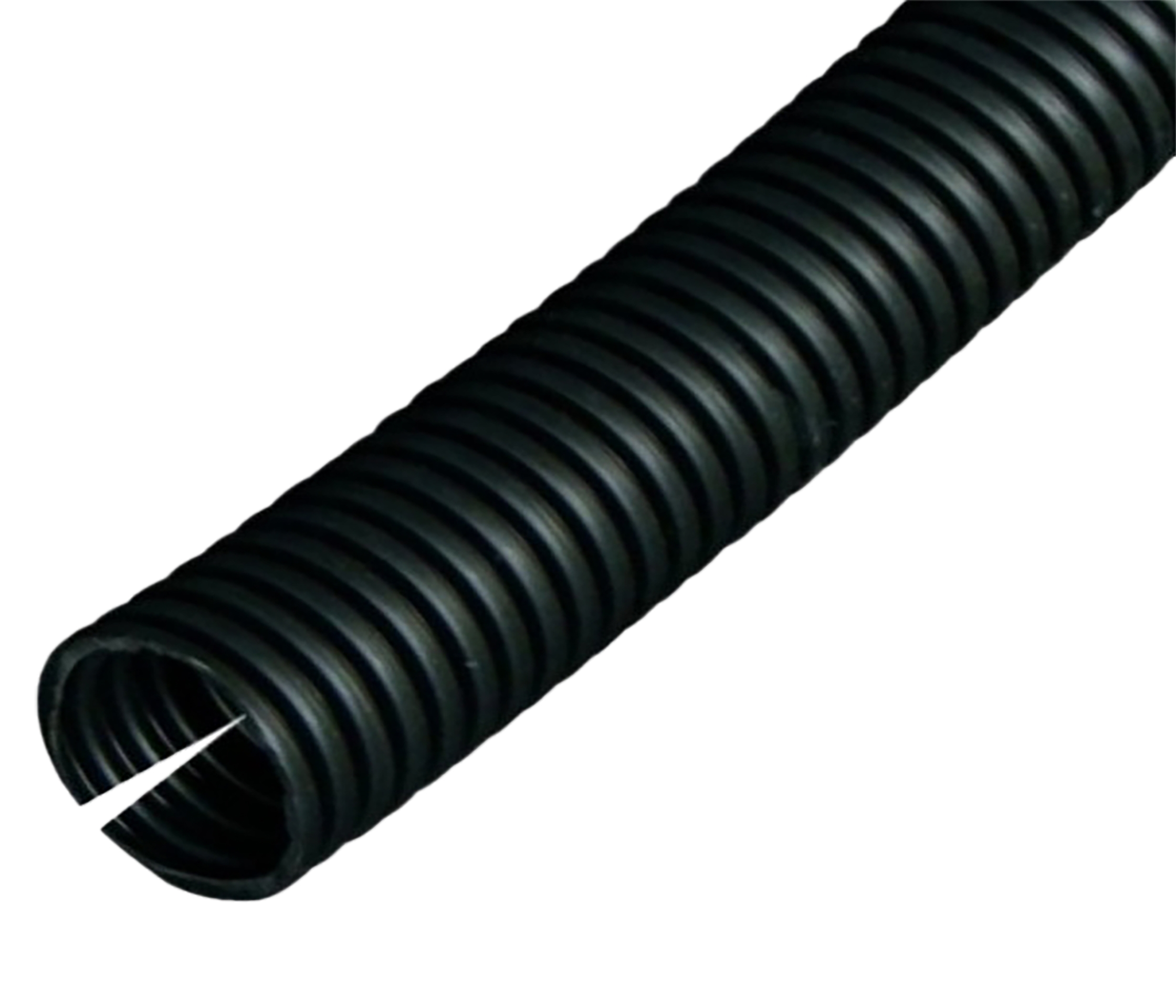Schlemmer 8018200006 Pic_1