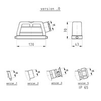 Wieland BAS GOT GG 24 M25 50 A1 Pic_1