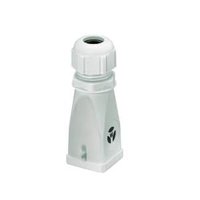 Wieland MIN GOT GB  7 M20 25 P5 Pic_1