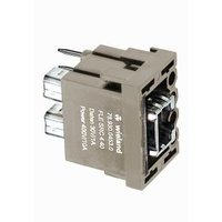 Wieland FLE SRC    4      40 Pic_1