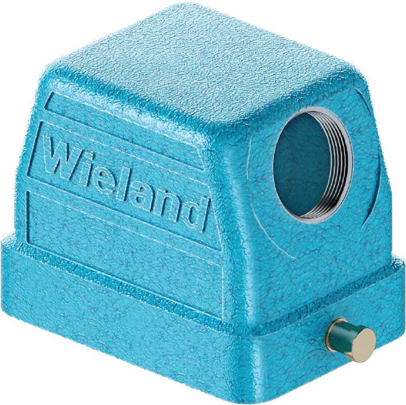 Wieland EX GOT GG 6 M20 09IA Z1 Pic_1