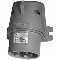 Elektra Tailfingen CG 532/6H Pic_1