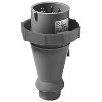 Elektra Tailfingen CTW 532/6H Pic_1