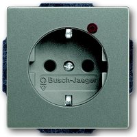 Busch-jaeger 2310EUGL/VA-803-11 Pic_1