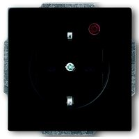 Busch-jaeger 2310EUGL/VA-885-11 Pic_1