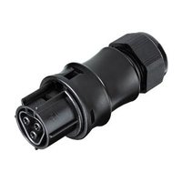 Wieland RST20I3S B1 ZR1 V SW Pic_1